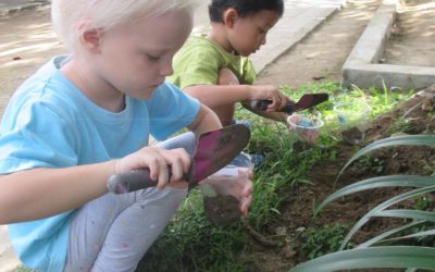 Berkebun di Playgroup