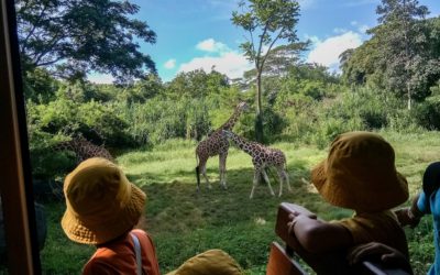 Karyawisata TK B ke Bali Safari & Marine Park