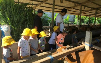 Karyawisata Playgroup ke Peternakan Lunas Lanus