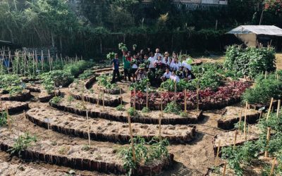 Selamat Datang Kembali di Tahun Ajaran 2019-2020