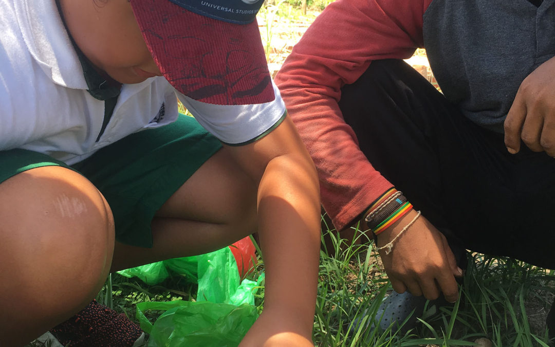Class 6 in the Dyatmika Community Garden