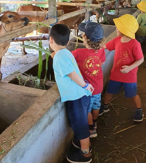 Playgroup Visit: The Cow Barn